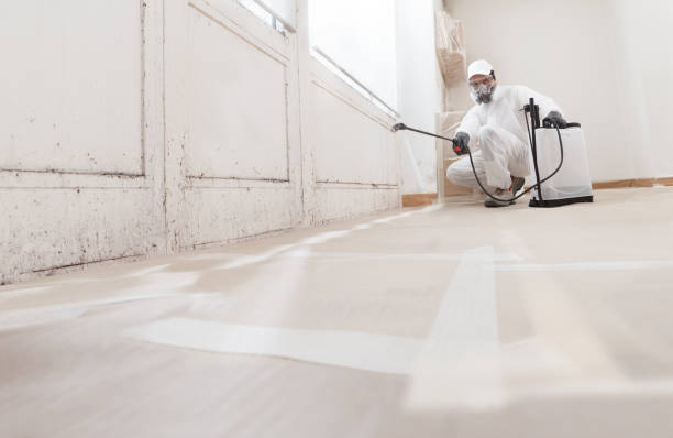 24/7 Emergency Mold Removal experts in Richmond, IL