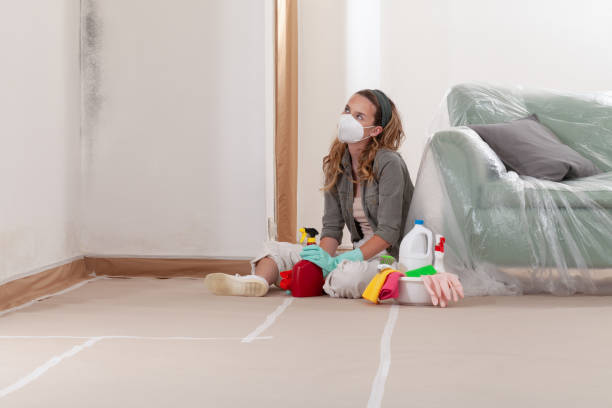 Reliable Mold Removal contractor in Richmond, IL by Mold Remediation HQ